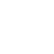 logo spa bienestar